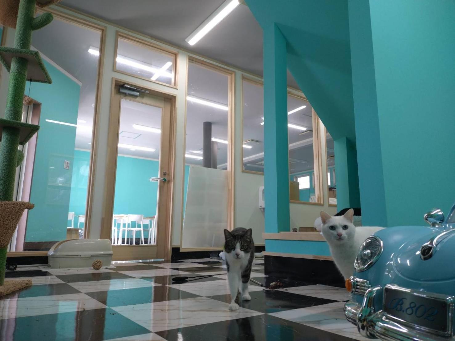 Tama Hotel إيشينوماكي المظهر الخارجي الصورة